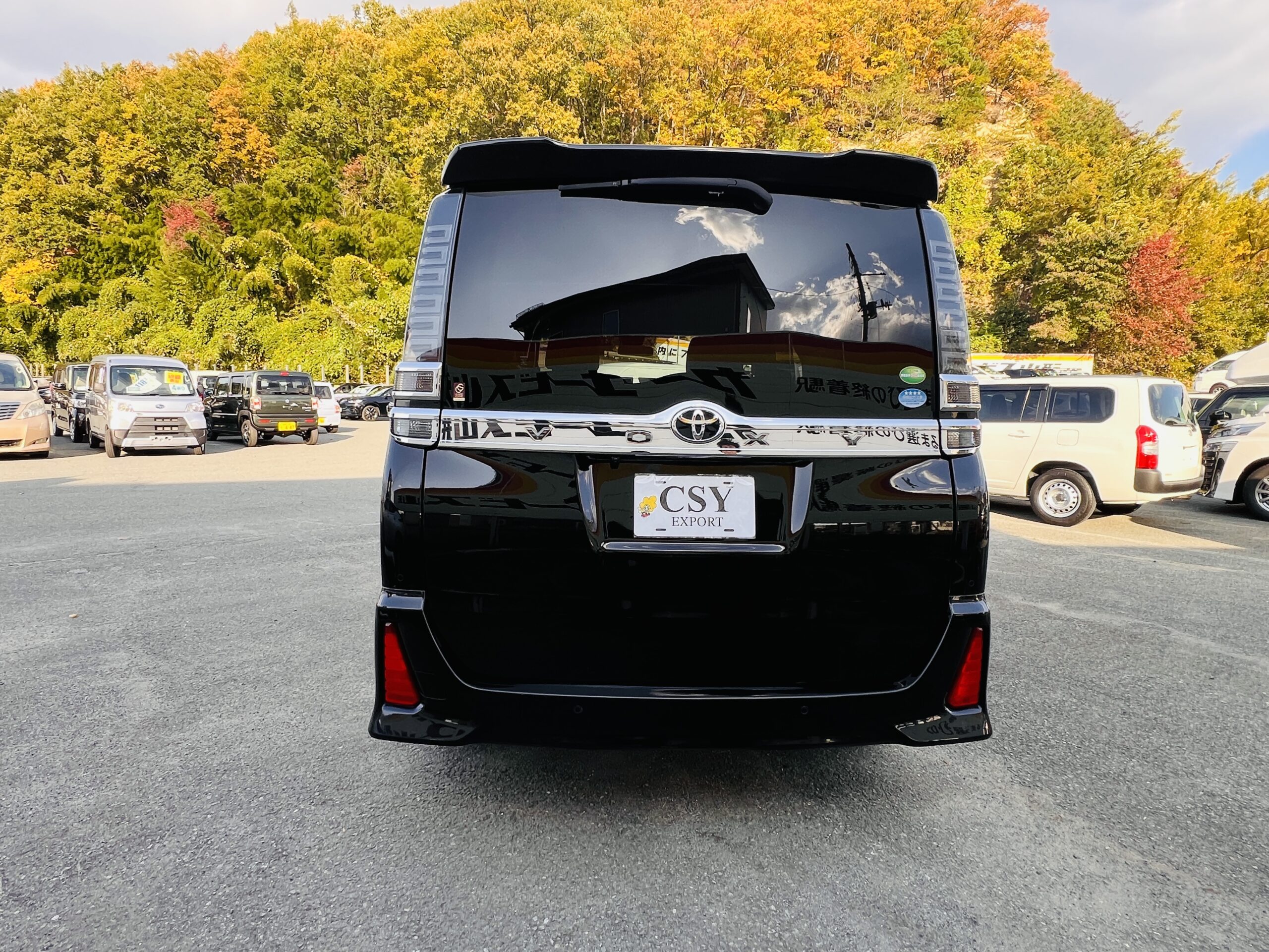 2019 TOYOTA VOXY 4WD