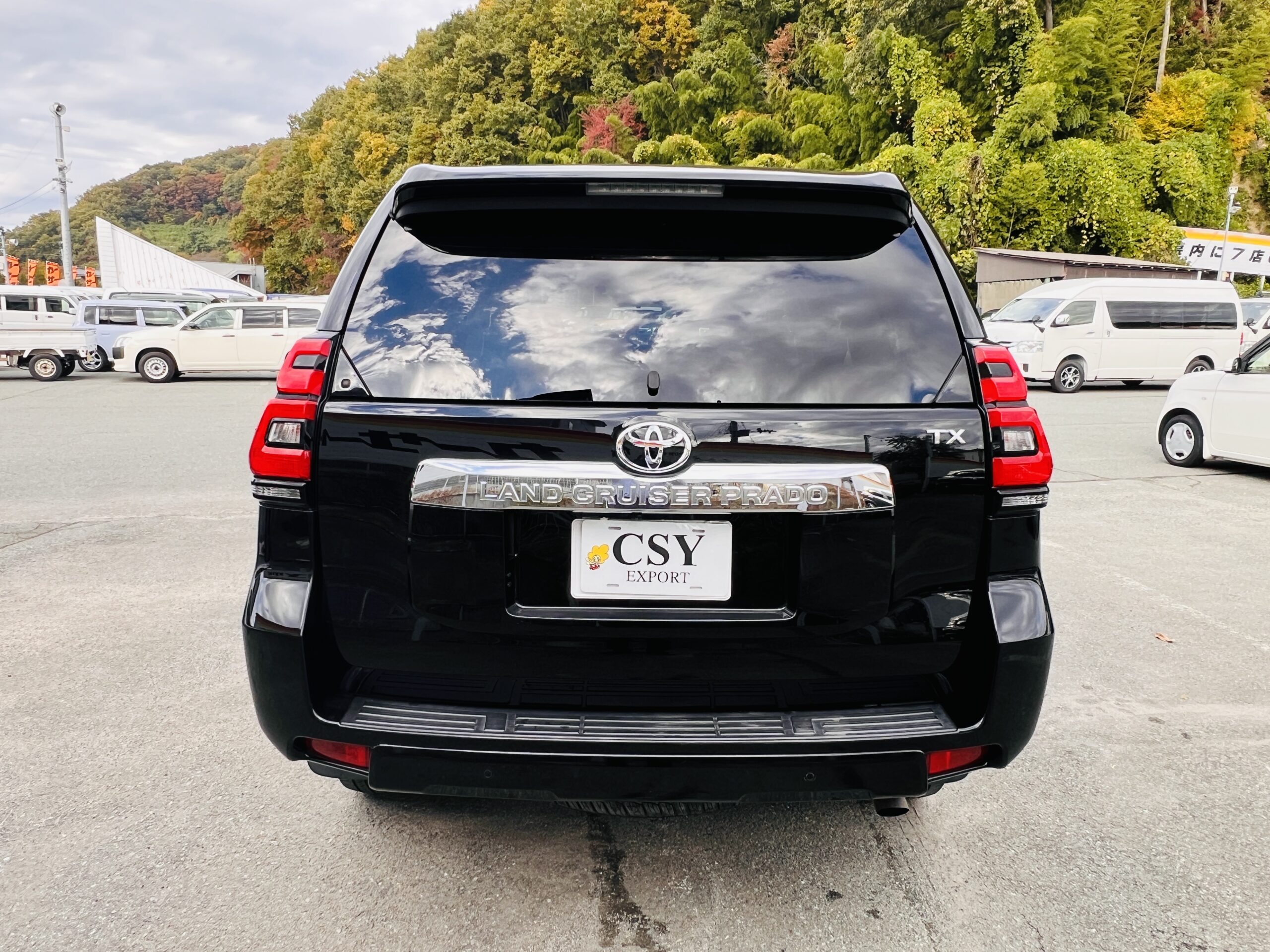 TOYOTA LAND CRUISER PRADO TX 4WD