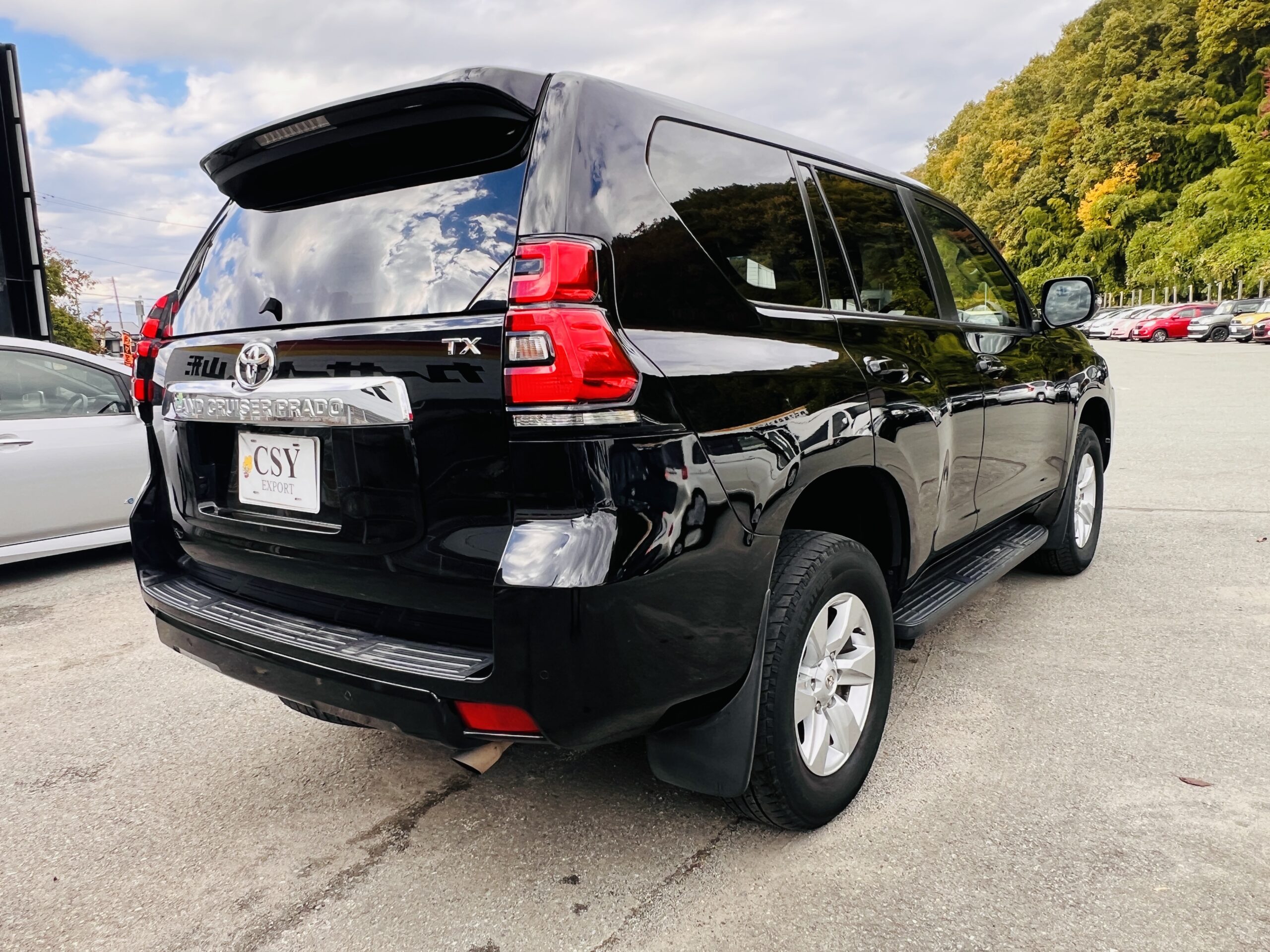 TOYOTA LAND CRUISER PRADO TX 4WD