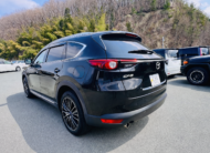 2019 MAZDA CX-8