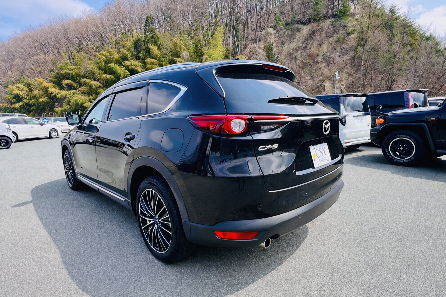 2019 MAZDA CX-8