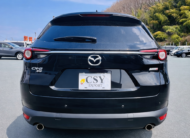2019 MAZDA CX-8