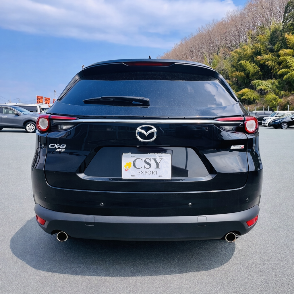 2019 MAZDA CX-8