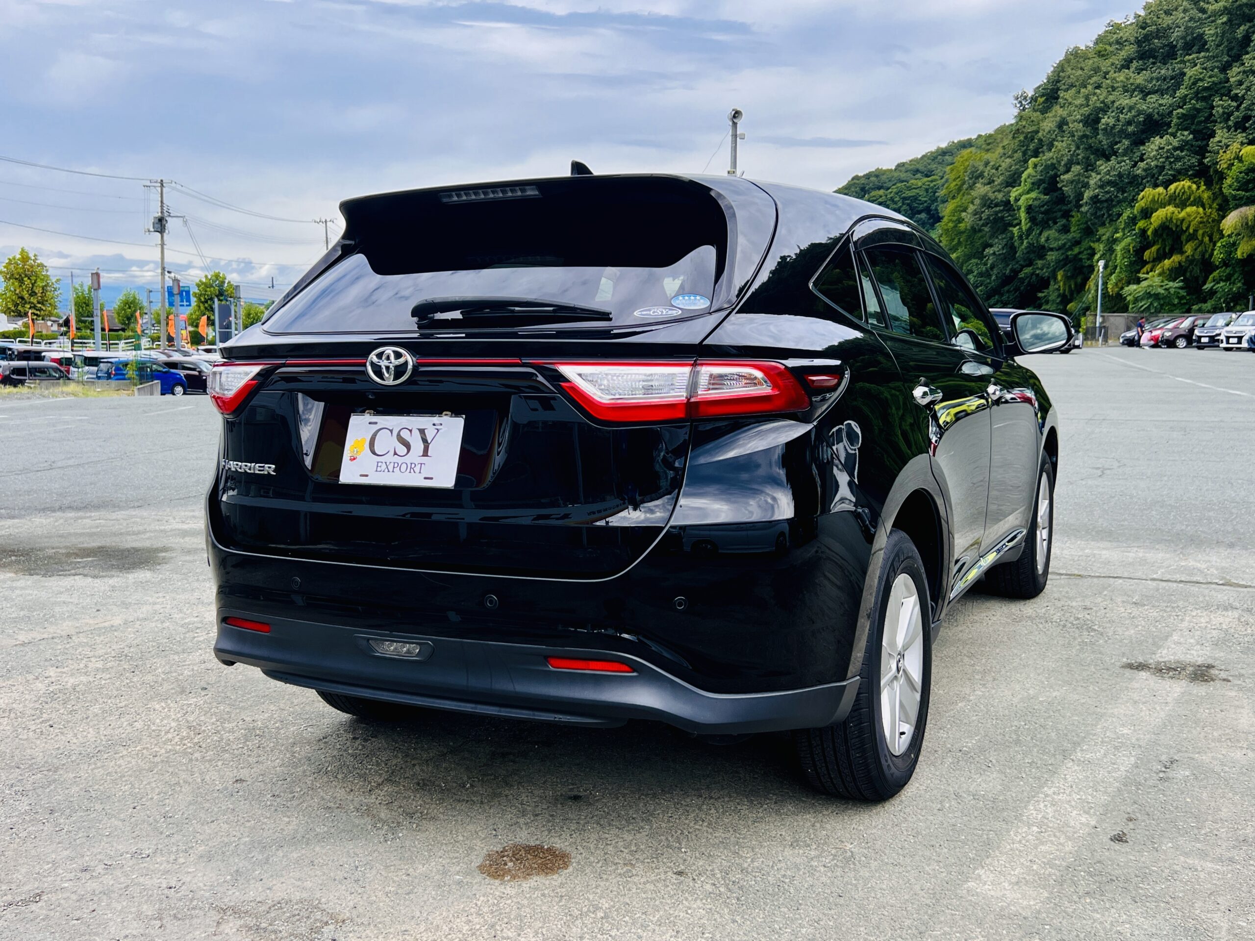 2019 TOYOTA HARRIER