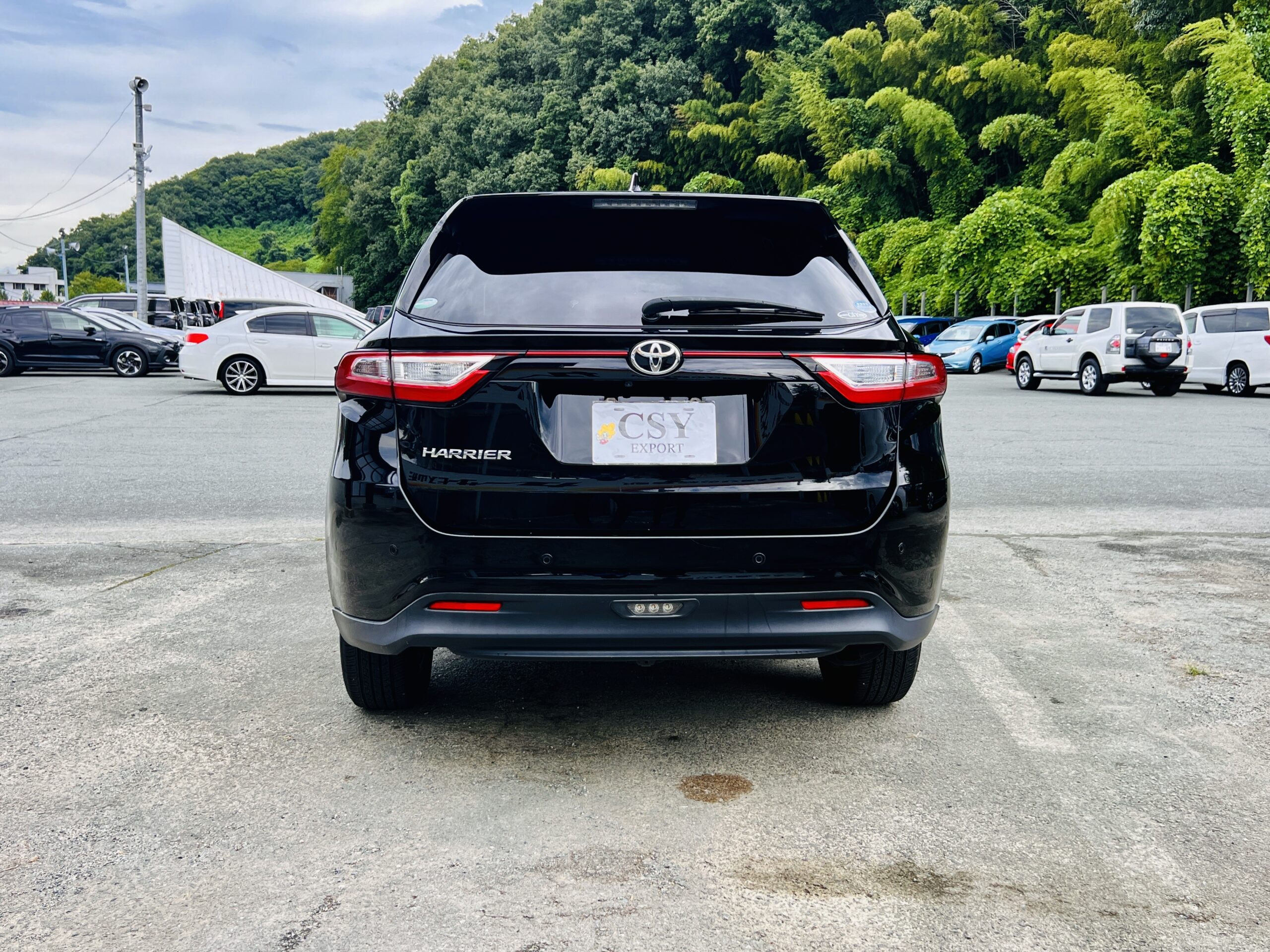 2019 TOYOTA HARRIER
