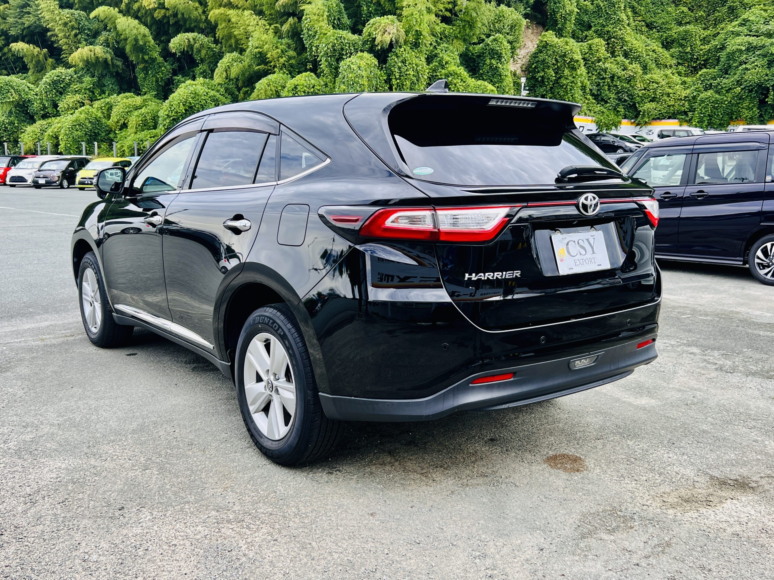 2019 TOYOTA HARRIER