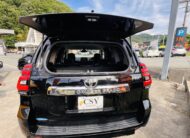 2021 TOYOTA LAND CRUISER PRADO TX