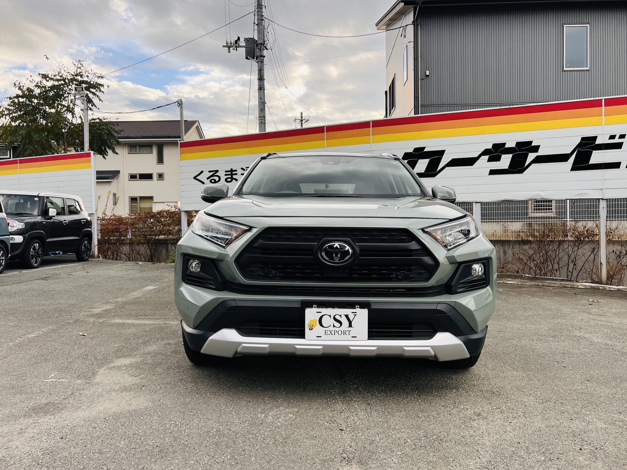 2020 TOYOTA RAV4 ADVENTURE 4WD