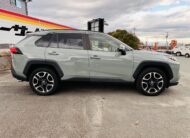 2020 TOYOTA RAV4 ADVENTURE 4WD