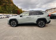 2020 TOYOTA RAV4 ADVENTURE 4WD