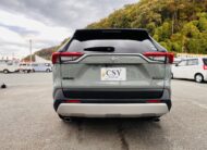 2020 TOYOTA RAV4 ADVENTURE 4WD