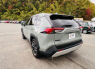 2020 TOYOTA RAV4 ADVENTURE 4WD