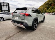 2020 TOYOTA RAV4 ADVENTURE 4WD