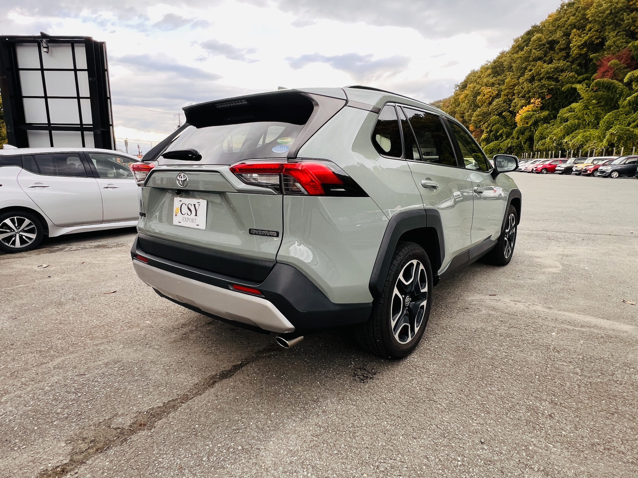 2020 TOYOTA RAV4 ADVENTURE 4WD