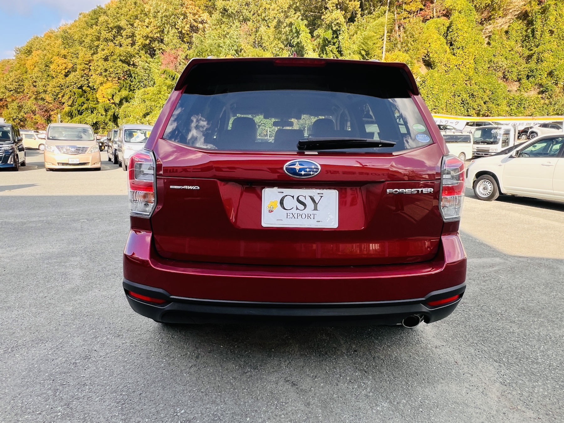 2017 SUBARU FORESTER X-BREAK ADVANCED SAFETY PACKAGE