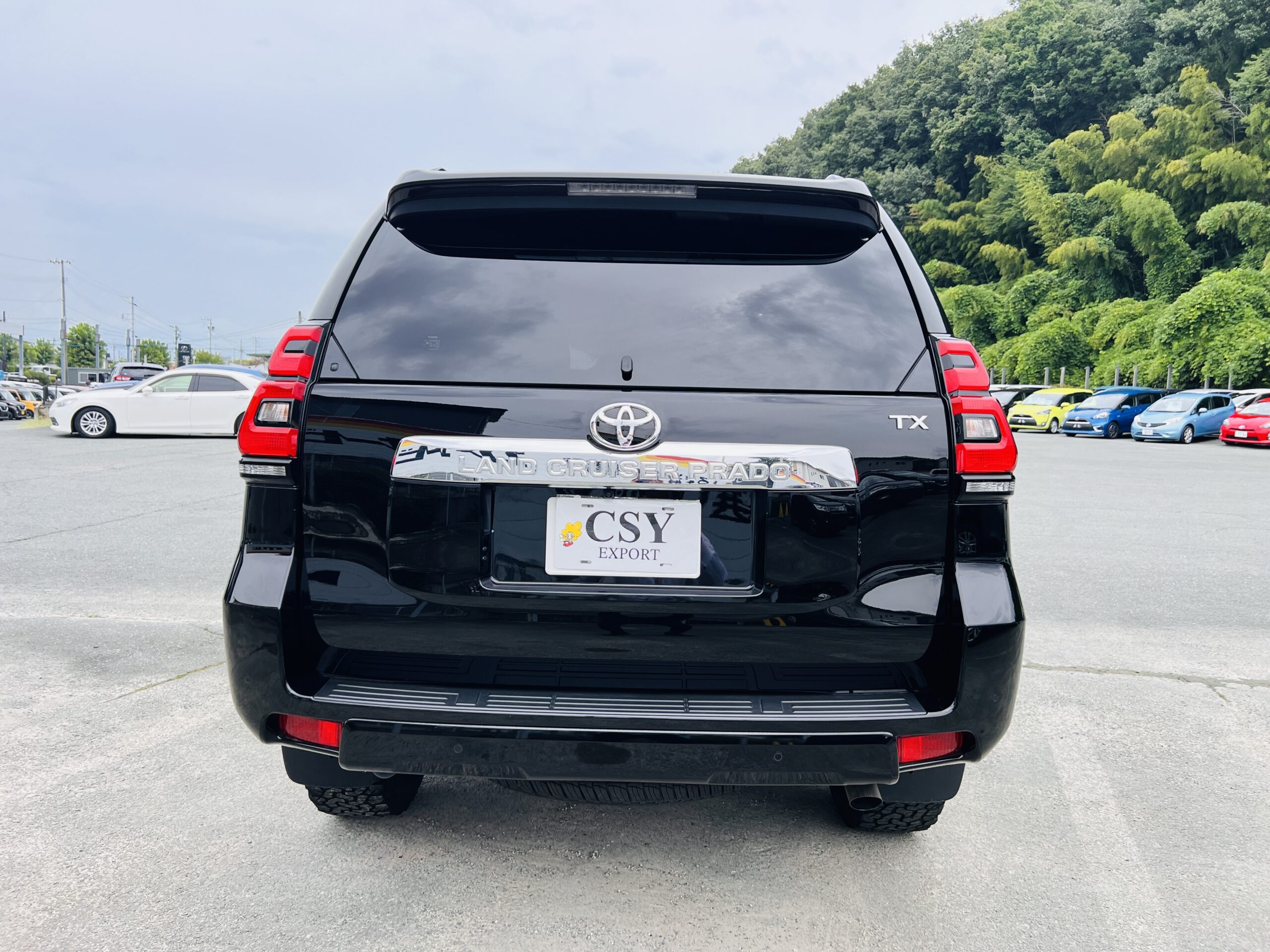 2021 TOYOTA LAND CRUISER PRADO TX L