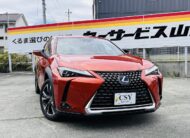 2021 LEXUS UX250