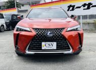 2021 LEXUS UX250