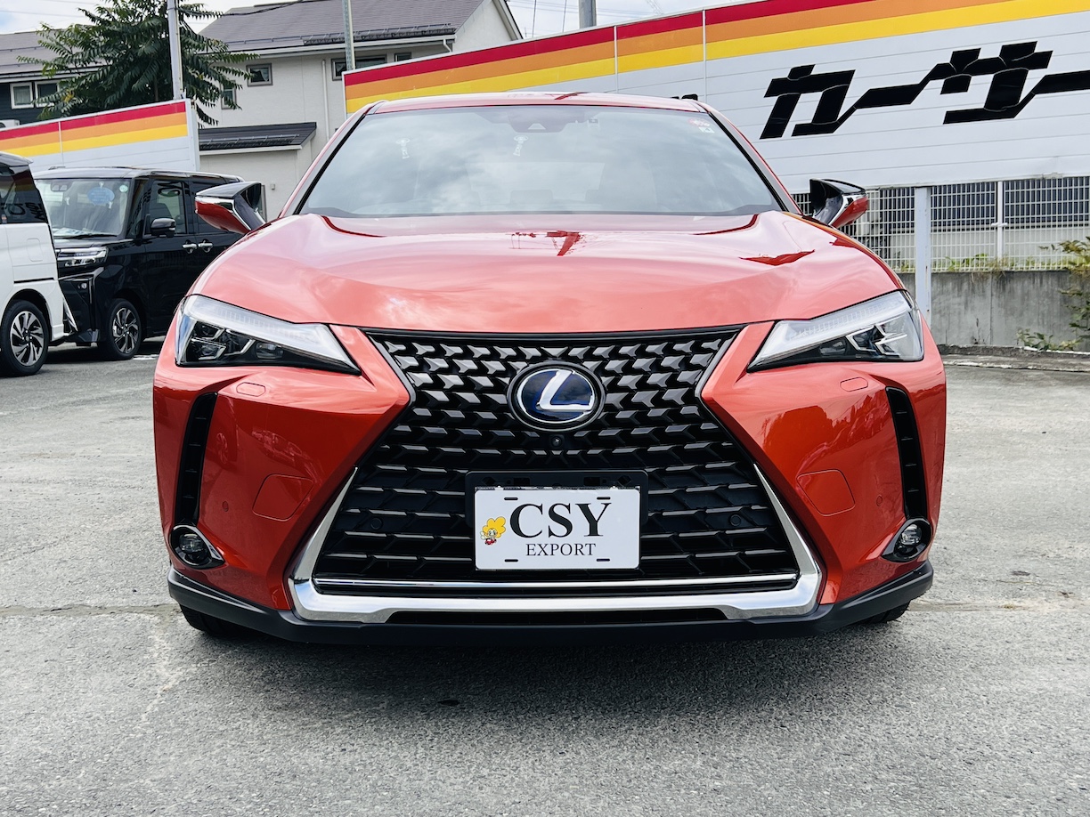 2021 LEXUS UX250