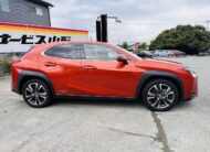 2021 LEXUS UX250
