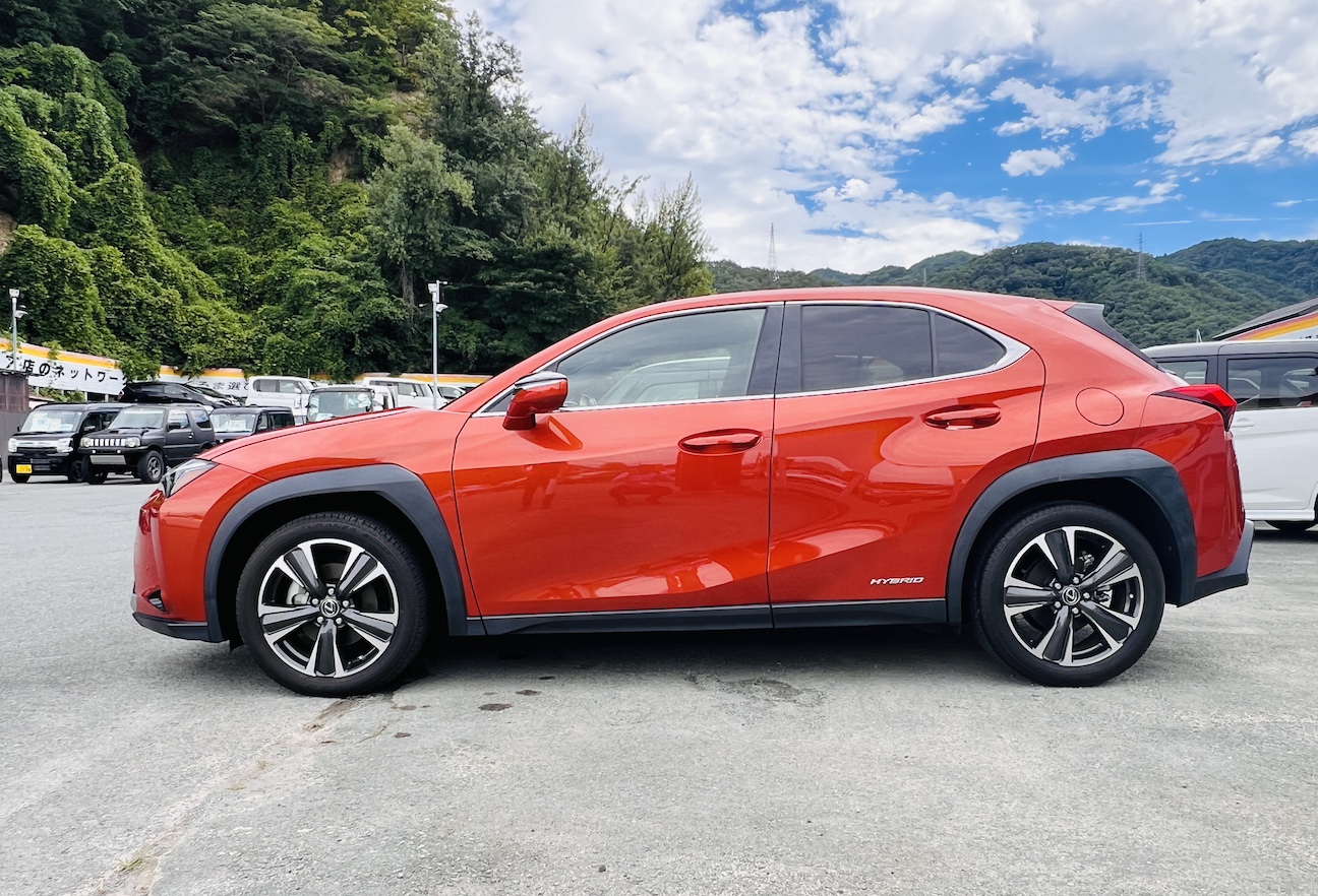 2021 LEXUS UX250