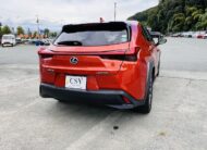 2021 LEXUS UX250