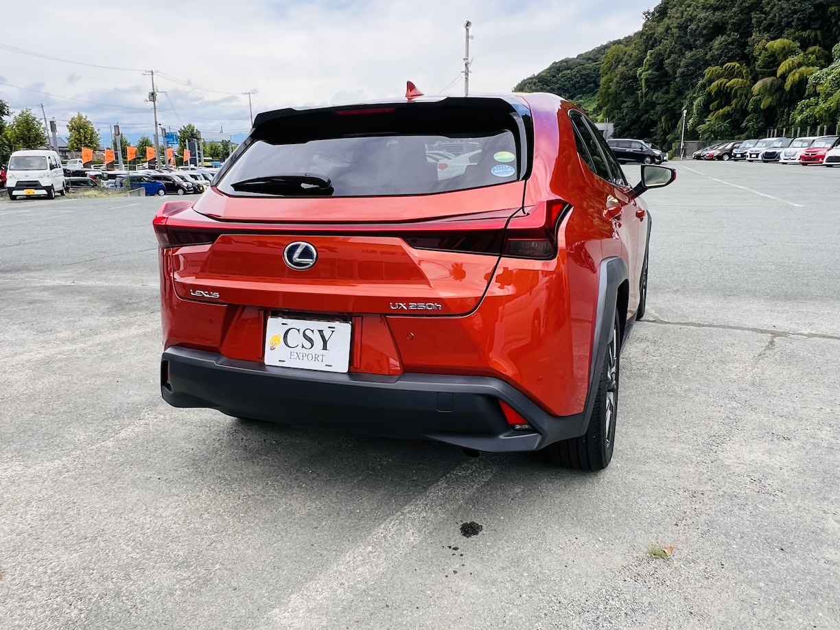2021 LEXUS UX250