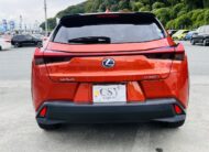 2021 LEXUS UX250