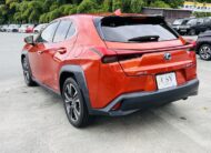 2021 LEXUS UX250
