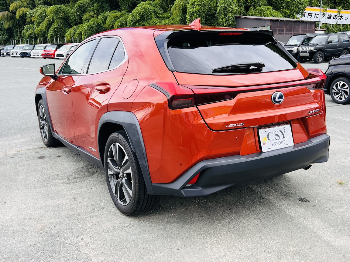 2021 LEXUS UX250