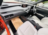 2021 LEXUS UX250