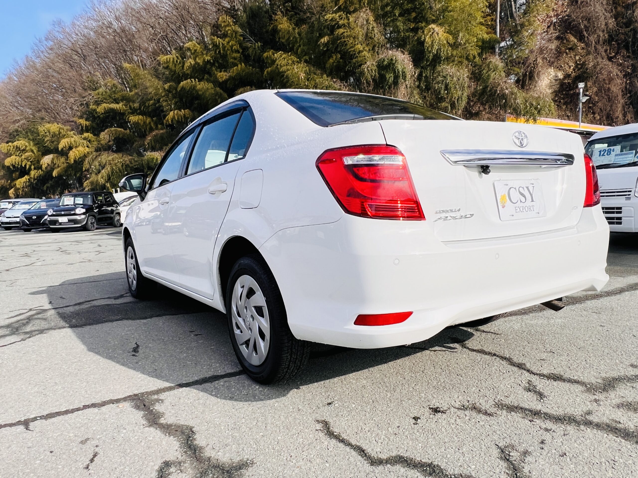 2019 TOYOTA COROLLA AXIO