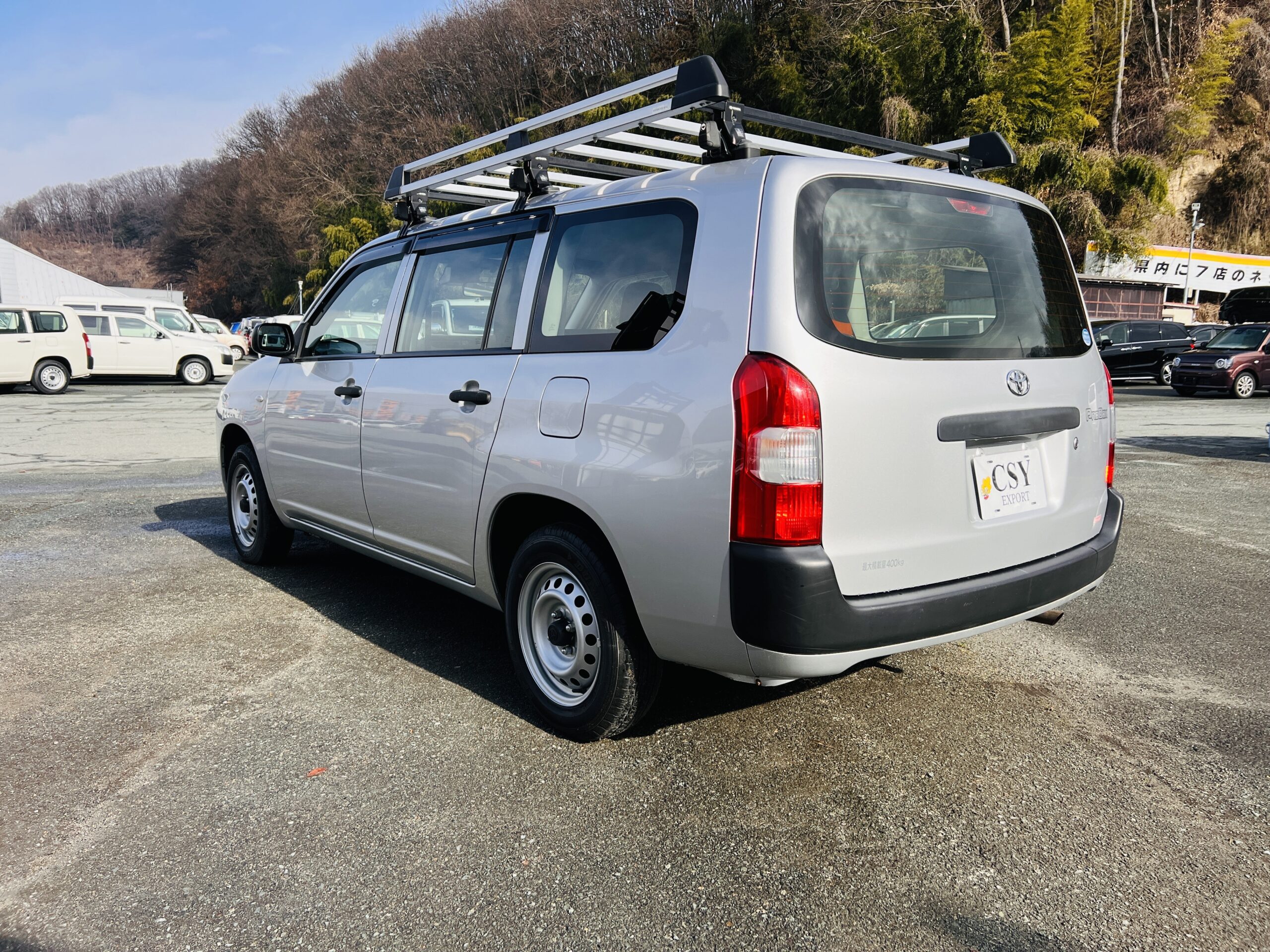 2019 TOYOTA PROBOX DX COMFORT 4WD