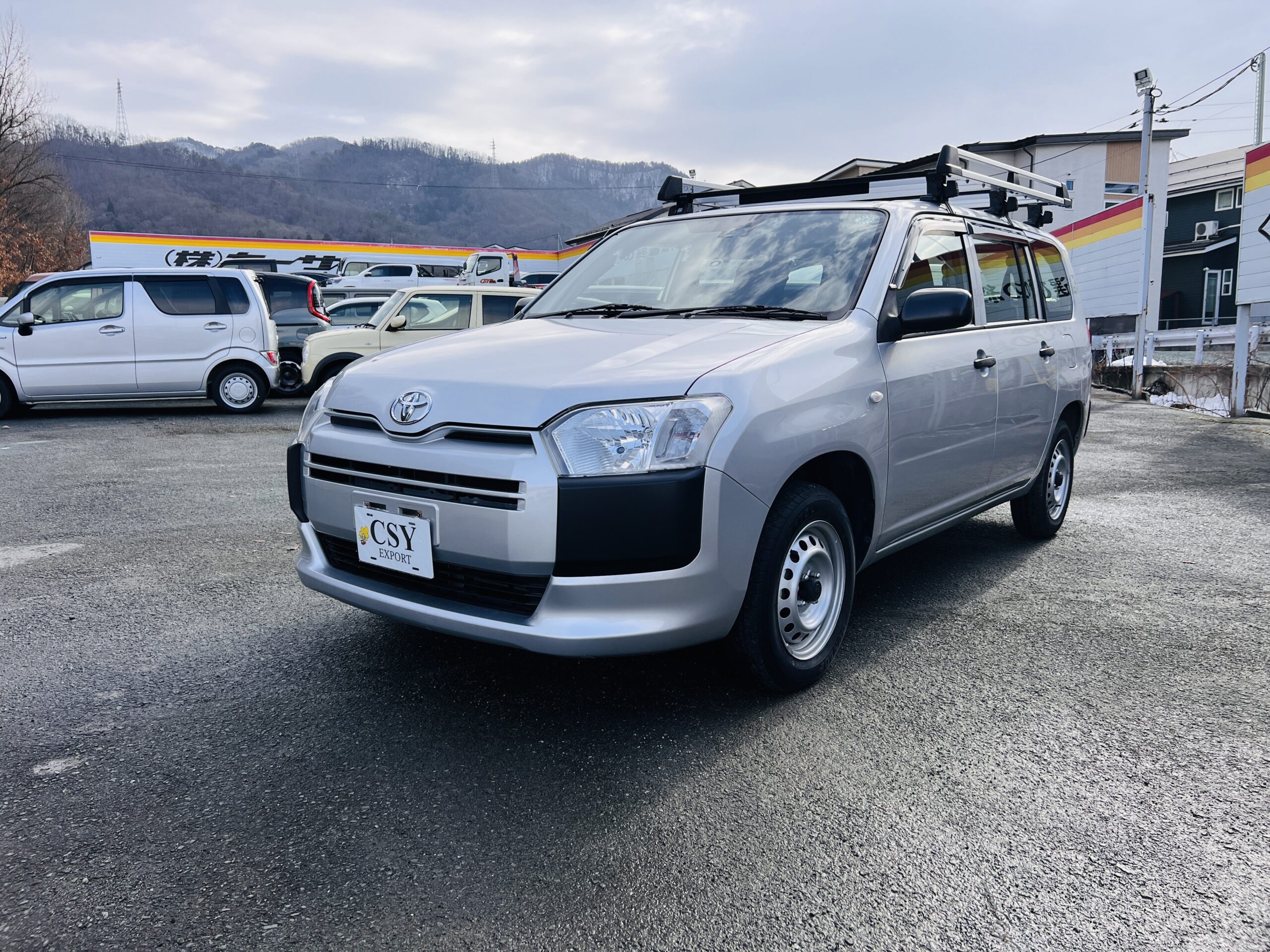 2019 TOYOTA PROBOX DX COMFORT 4WD