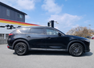 2019 MAZDA CX-8
