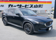 2019 MAZDA CX-8