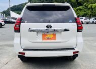 2019 TOYOTA LAND CRUISER PRADO TX-L 4WD