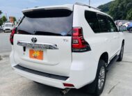 2019 TOYOTA LAND CRUISER PRADO TX-L 4WD