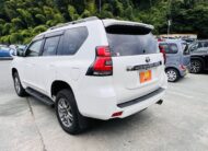 2019 TOYOTA LAND CRUISER PRADO TX-L 4WD