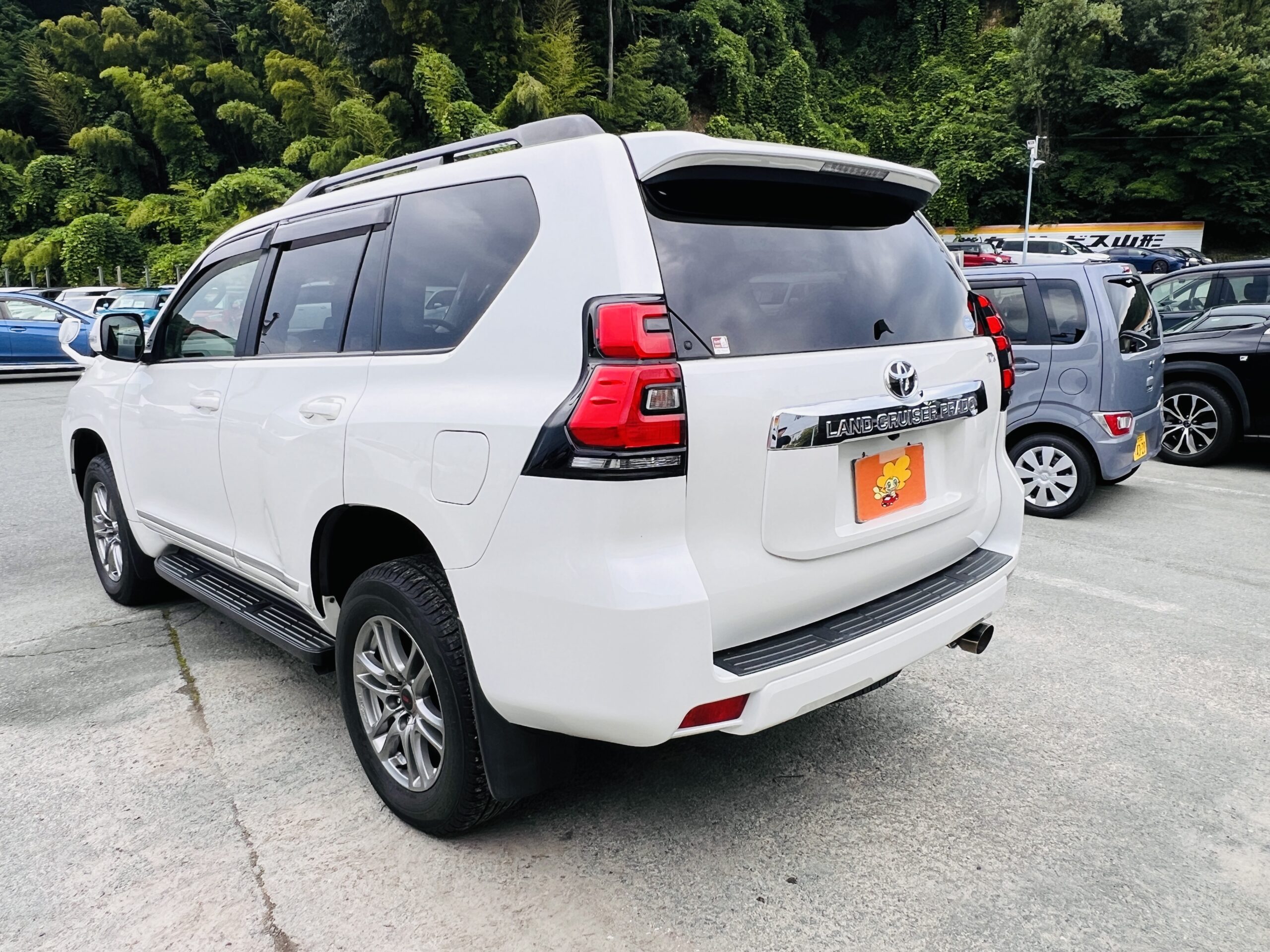 2019 TOYOTA LAND CRUISER PRADO TX-L 4WD