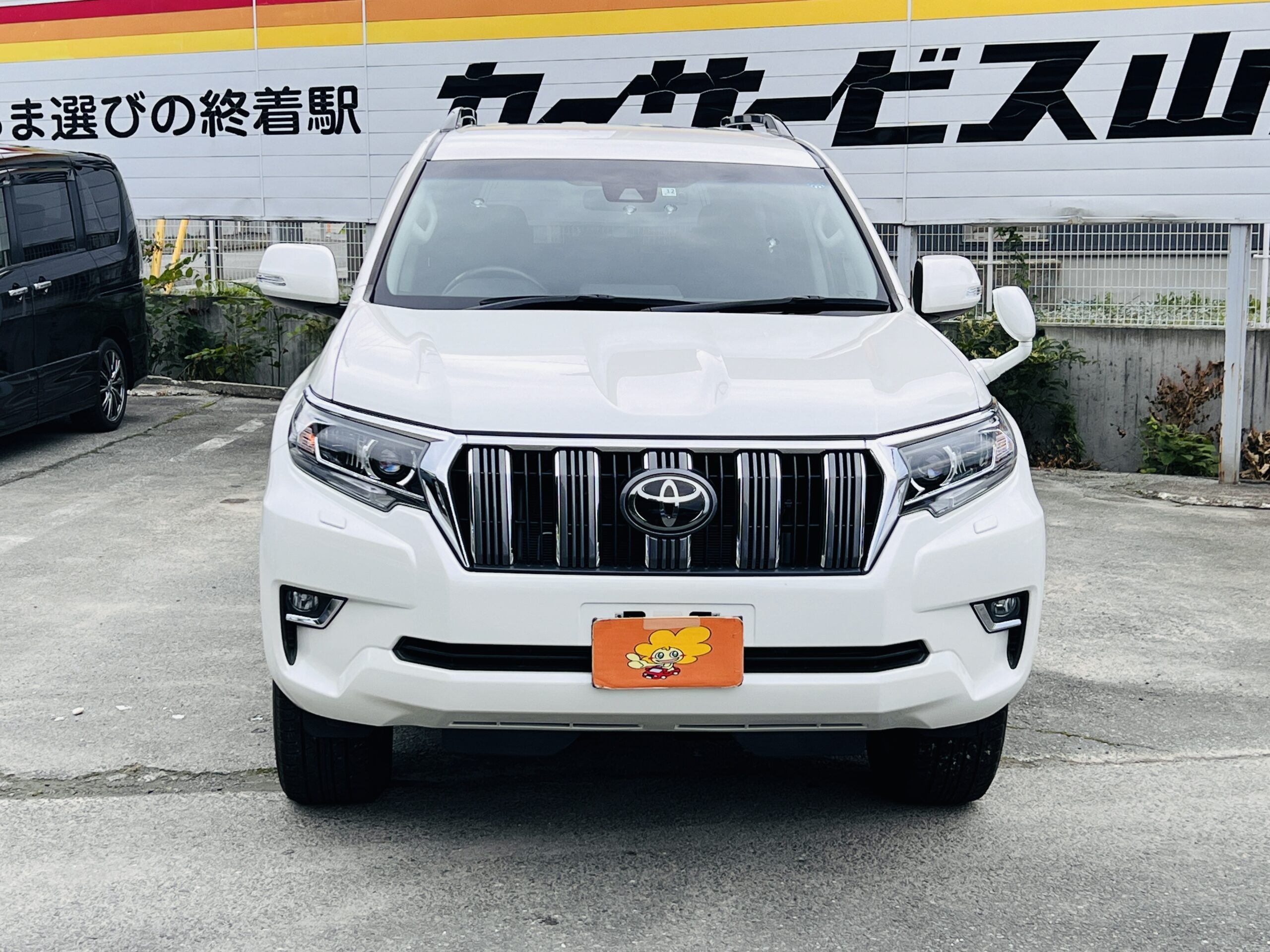 2019 TOYOTA LAND CRUISER PRADO TX-L 4WD