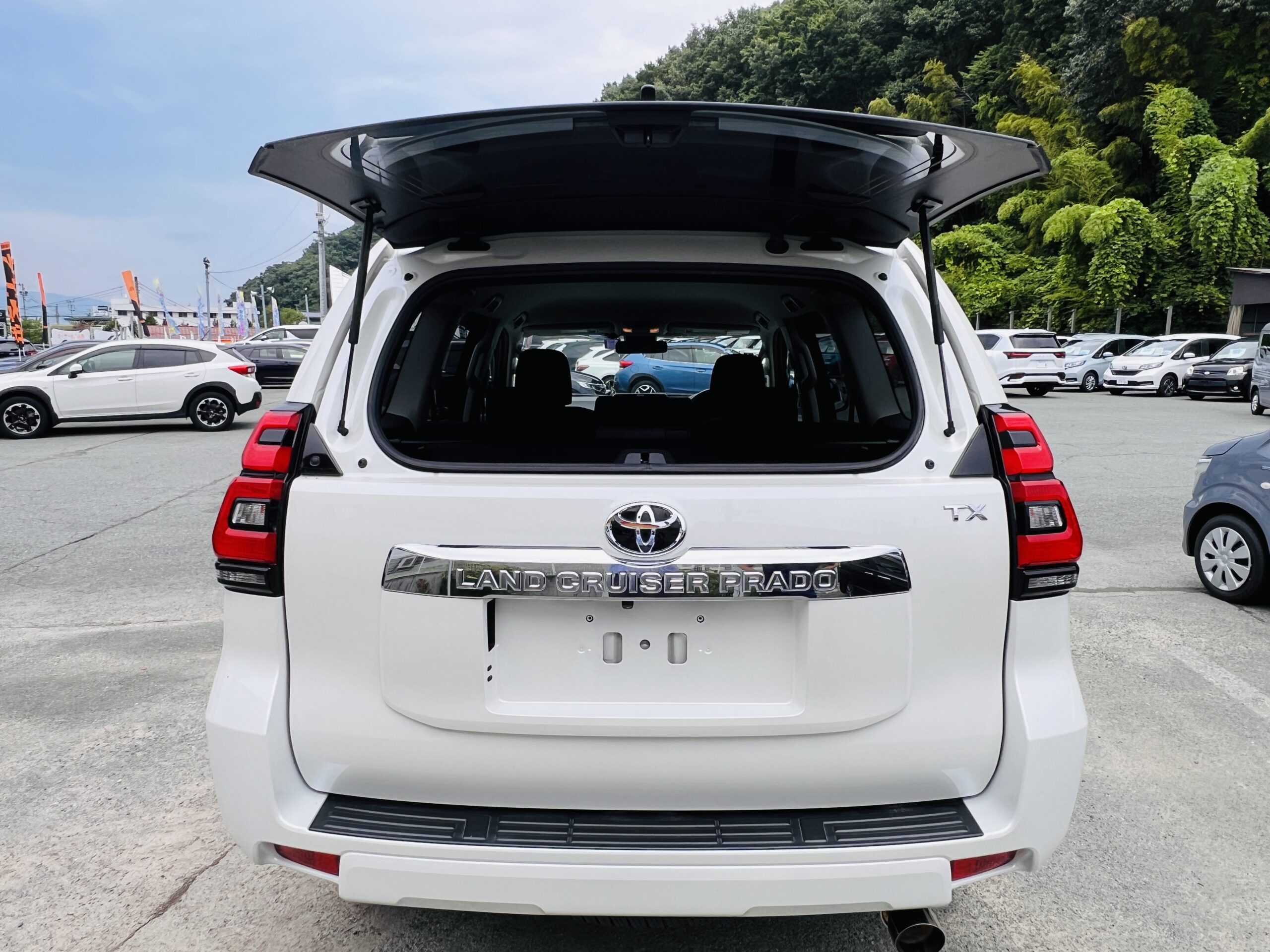 2019 TOYOTA LAND CRUISER PRADO TX-L 4WD