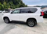 2019 TOYOTA LAND CRUISER PRADO TX-L 4WD
