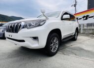 2019 TOYOTA LAND CRUISER PRADO TX-L 4WD