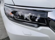 2019 TOYOTA LAND CRUISER PRADO TX-L 4WD