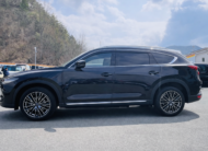 2019 MAZDA CX-8