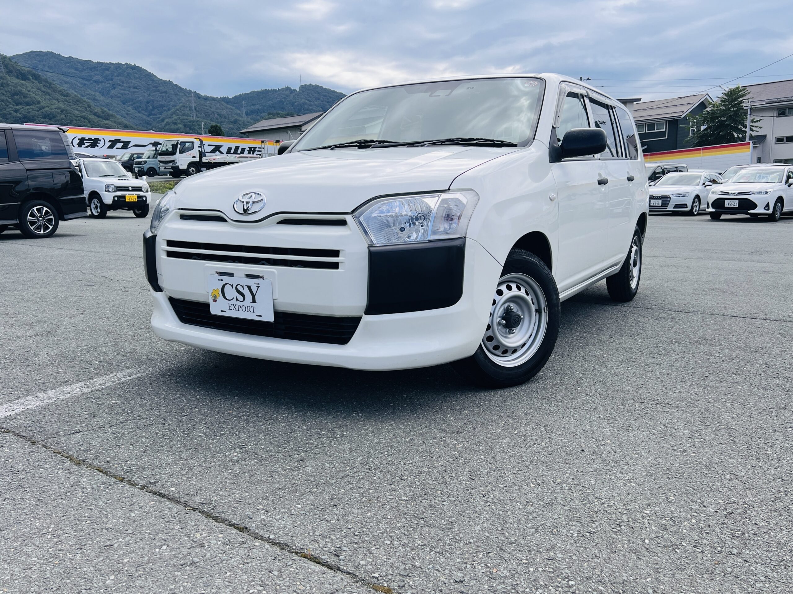 2019 TOYOTA SUCCEED TX 4WD