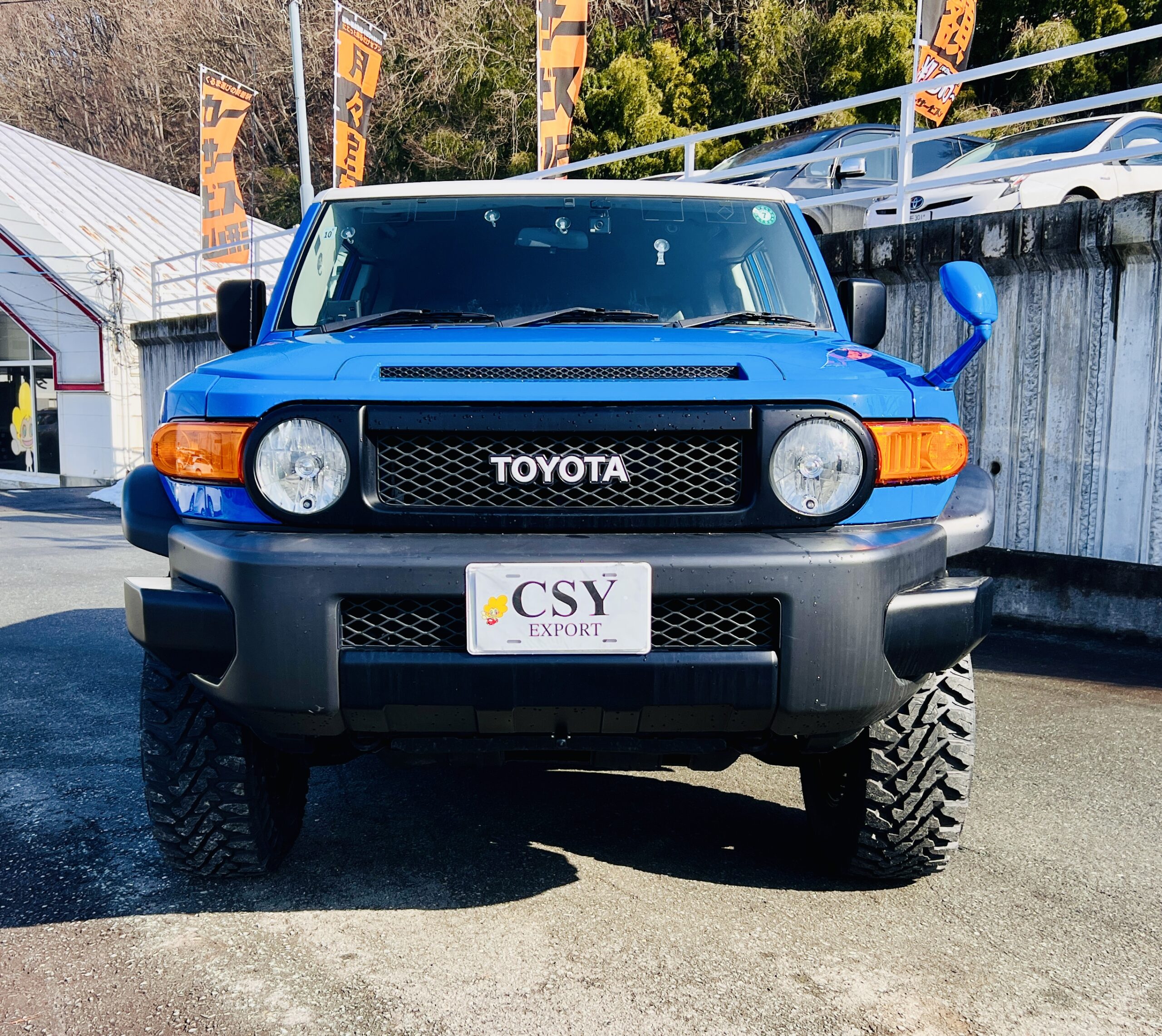 2011 TOYOTA FJ CRUISER COLOUR PACKAGE 4WD