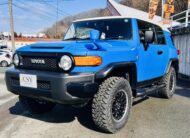 2011 TOYOTA FJ CRUISER COLOUR PACKAGE 4WD
