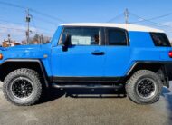 2011 TOYOTA FJ CRUISER COLOUR PACKAGE 4WD